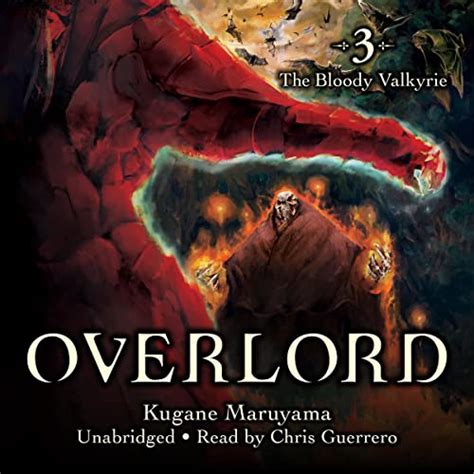 Overlord Vol 3 light novel Doc