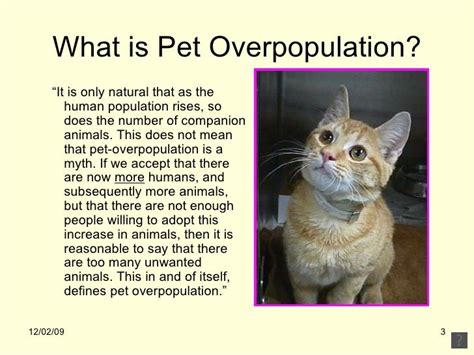 Overpopulation of Unwanted Pets: A Grave Concern