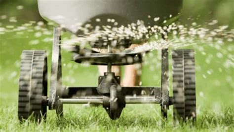 Overseeding Fertilizer: The Ultimate Guide to a Greener Lawn