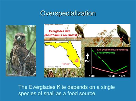 Overspecialization:
