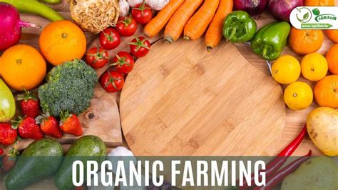 Overview: Embracing Organic Agriculture for a Sustainable Future