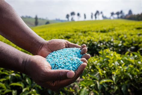 Overview: The Lucrative NPK Fertilizer Industry