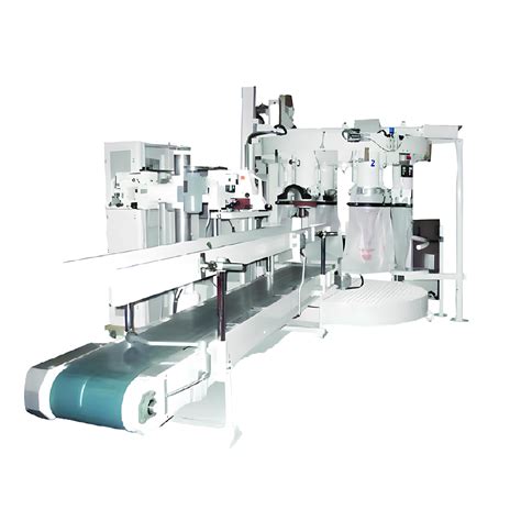 Overview: The Need for High-Capacity Packing Machines