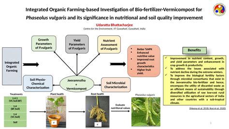 Overview: The Significance of Compost Organic Fertilizer