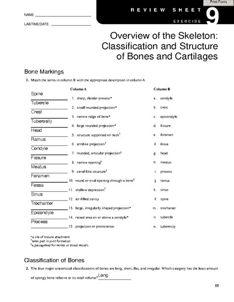 Overview Of The Skeleton Answers Kindle Editon