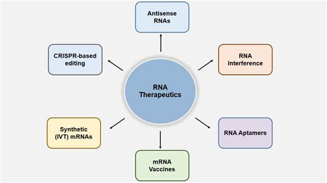 Overview of Lithos Therapeutics