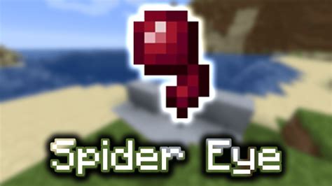 Overview of Spider Eyes in Minecraft