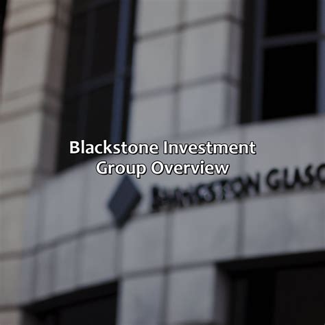 Overview of the Blackstone Group