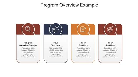 Overview of the Program