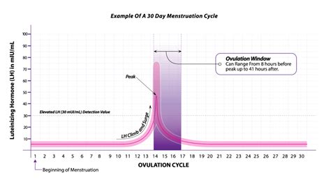 Ovulation Lh Chart