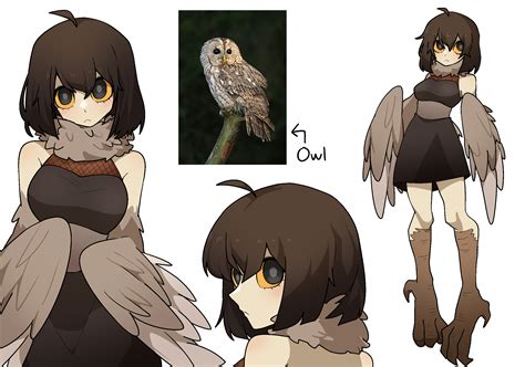 Owl Girl Monster Musume: A Comprehensive Exploration of the Avian Mystique