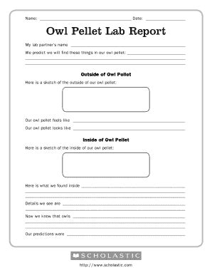 Owl Pellet Lab Answers Reader