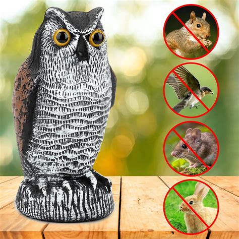 Owl Statue Bird Scare: A Comprehensive Solution to Protect Your Avian Assets