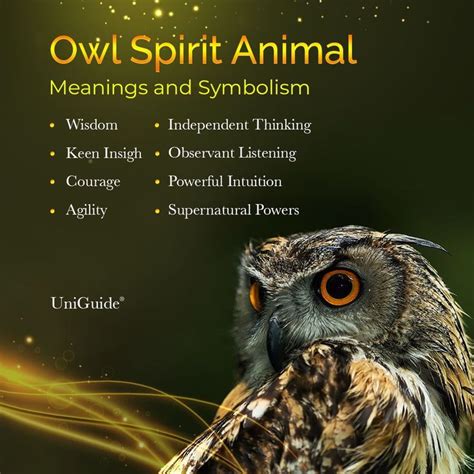 Owl Symbolism and Significance