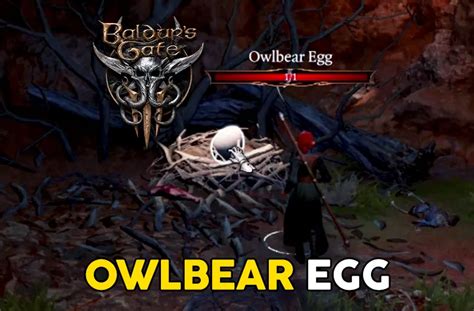 Owlbear Egg BG3: A Comprehensive Guide to Finding, Hatching, and Raising Your Own Owlbear