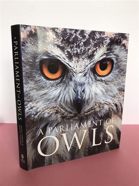 Owls 1st Edition Reader