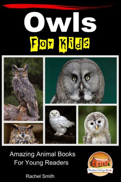 Owls For Kids Amazing Animal Books For Young Readers Reader