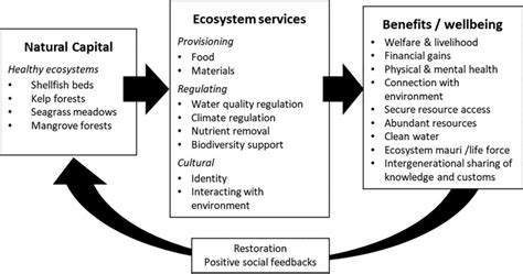 Owlto Bridge: Bridging the Gap Between Ecosystems and Enhancing Collaboration