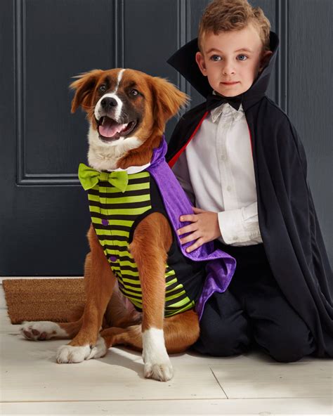 Owner and Pet Costumes: A Paw-some Guide to the Perfect Match