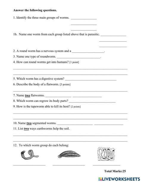 Oxford Worms Answers Activities PDF