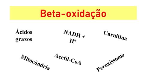 Oxidação Beta: Um Guia Completo