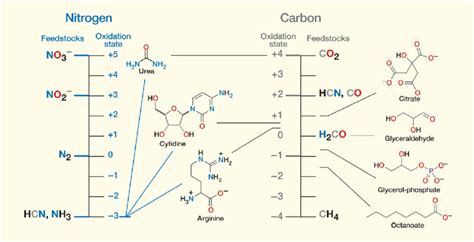 Oxidation State of Nitrogen in HCN: Unveiling the Chemistry of a Versatile Compound