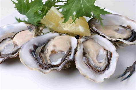 Oysters Doc