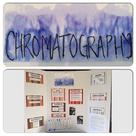 PAPER CHROMATOGRAPHY SCIENCE FAIR PROJECT Ebook Doc