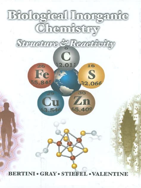 PDF Biological Inorganic Chemistry Structure and Reactivity Kindle Editon