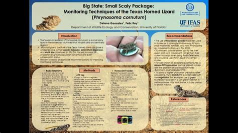 PDF Texas Horned Lizard Watch Monitoring Packet Epub