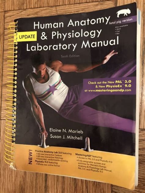 PEARSON ANATOMY AND PHYSIOLOGY LAB MANUAL ANSWERS Ebook Kindle Editon