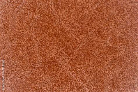 PIZU Leather Cover Window Desire PDF