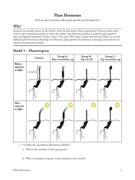 PLANT HORMONES POGIL KEY Ebook Reader