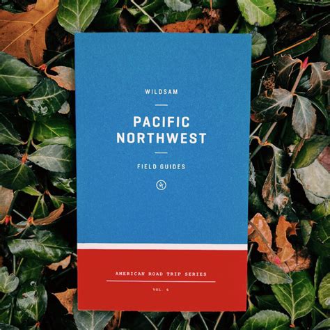 PNWBAAABY: A Comprehensive Guide to the Pacific Northwest Black Arts and Aesthetics