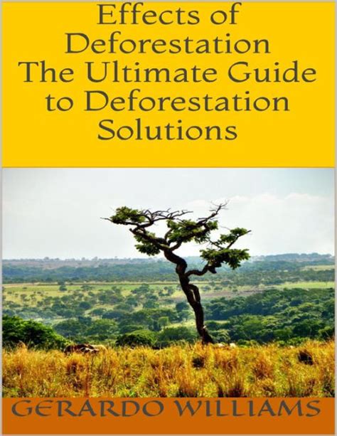 POSSIBLE SOLUTIONS DEFORESTATION Ebook Doc