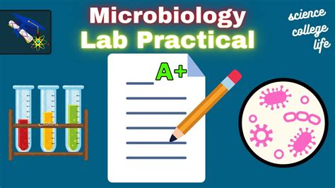 PRACTICE QUESTIONS FOR MICROBIOLOGY LAB Ebook Doc
