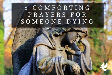 PRAYER FOR THE DYING an enthralling murder mystery Reader