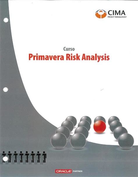 PRIMAVERA RISK ANALYSIS MANUAL Ebook Reader