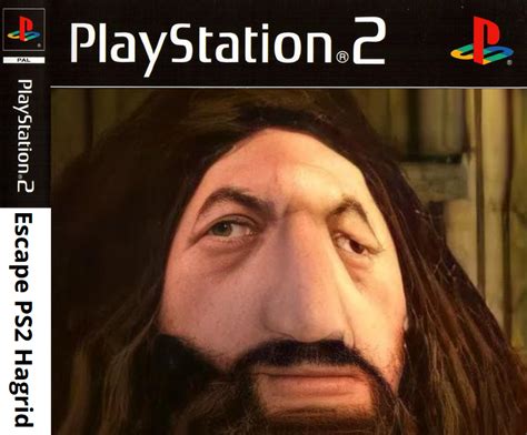 PS2 Hagrid: The Unsung Hero of Home Gaming