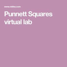 PUNNETT SQUARE MCGRAW HILL VIRTUAL LAB ANSWERS Ebook Kindle Editon