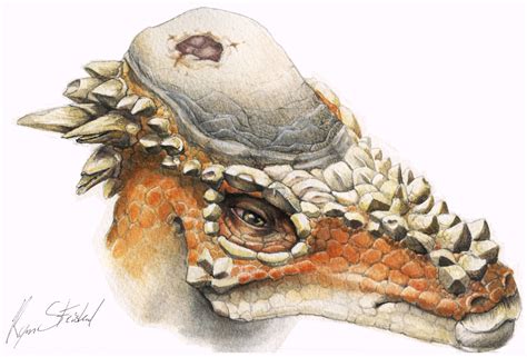 Pachycephalosaurus: The Dome-Headed Dinosaur