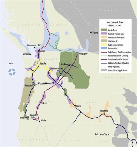 Pacific Northwest Natural Gas Usage: Trends and Implications