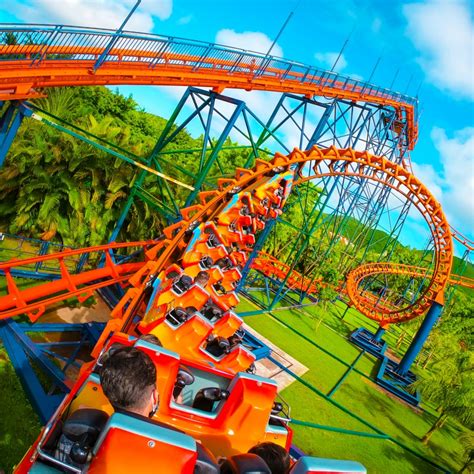 Pacote de Viagens Beto Carrero: Tudo que Você Precisa Saber para Curtir o Melhor Parque Temático da América Latina