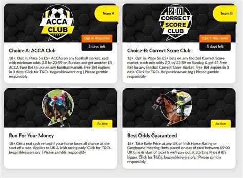 Pago Bet: A Complete Guide to Bet on Your Favorite Sports