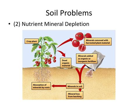 Pain Points: Soil Depletion and Chemical Dependency