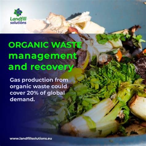 Pain Points: The Challenges of Organic Waste Management