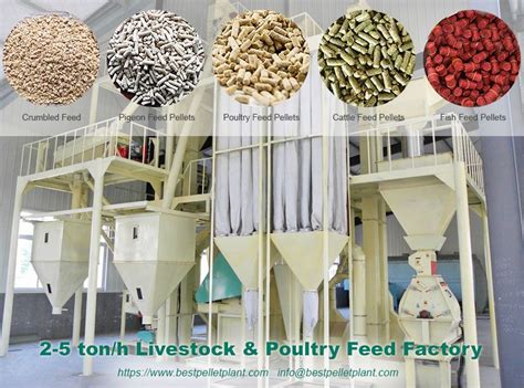 Pain Points of Inefficient Poultry Feed Equipment