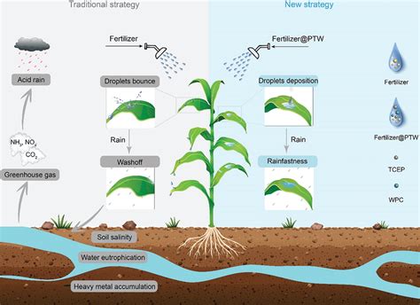 Pain Points of Traditional Fertilizer Production: