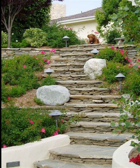 Pain Points of Traditional Landscaping