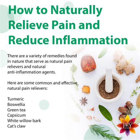 Pain Relief and Inflammation Reduction